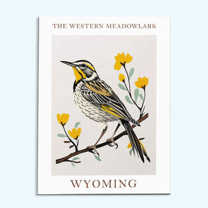 Wyoming State Bird Western Meadowlark | Malen nach Zahlen Set