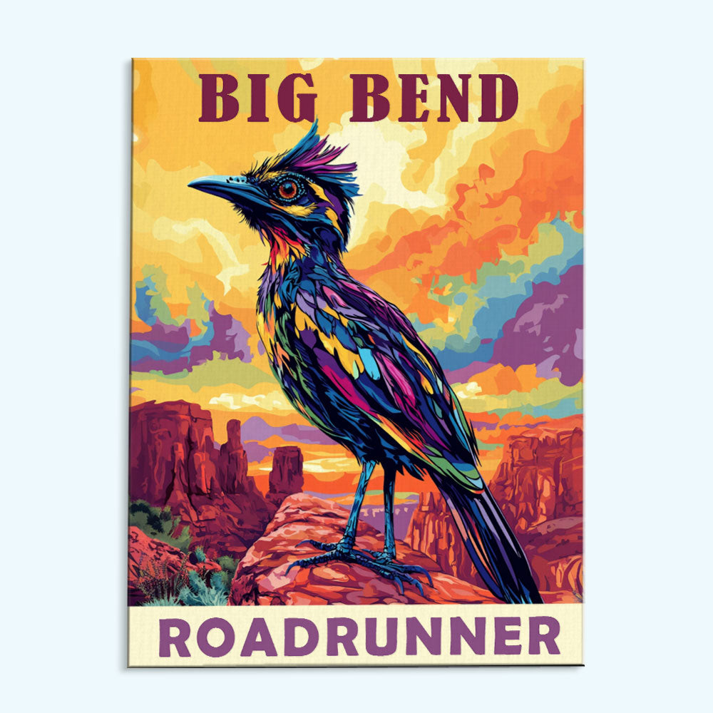 Big Bend National Park Animal | Paint by Numbers Kit – Wander Painting