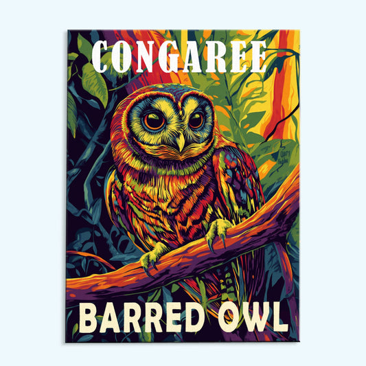 Congaree National Park Animal | Paint by Numbers Kit