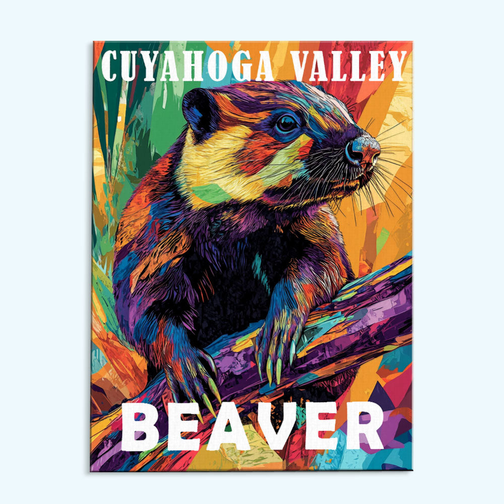 Cuyahoga Valley National Park Animal | Paint by Numbers Kit