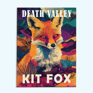 Death Valley National Park Animal | Paint by Numbers Kit