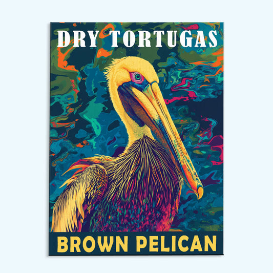 Dry Tortugas National Park Animal | Paint by Numbers Kit