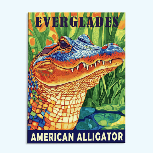 Everglades National Park Animal | Paint by Numbers Kit