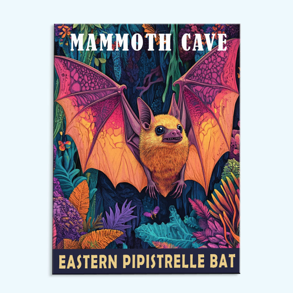 Mammoth Cave National Park Animal | Paint by Numbers Kit