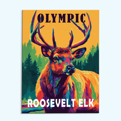 Olympic National Park Animal | Paint by Numbers Kit