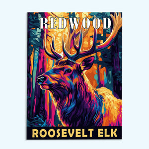 Tiere im Redwood-Nationalpark | Malen nach Zahlen-Set