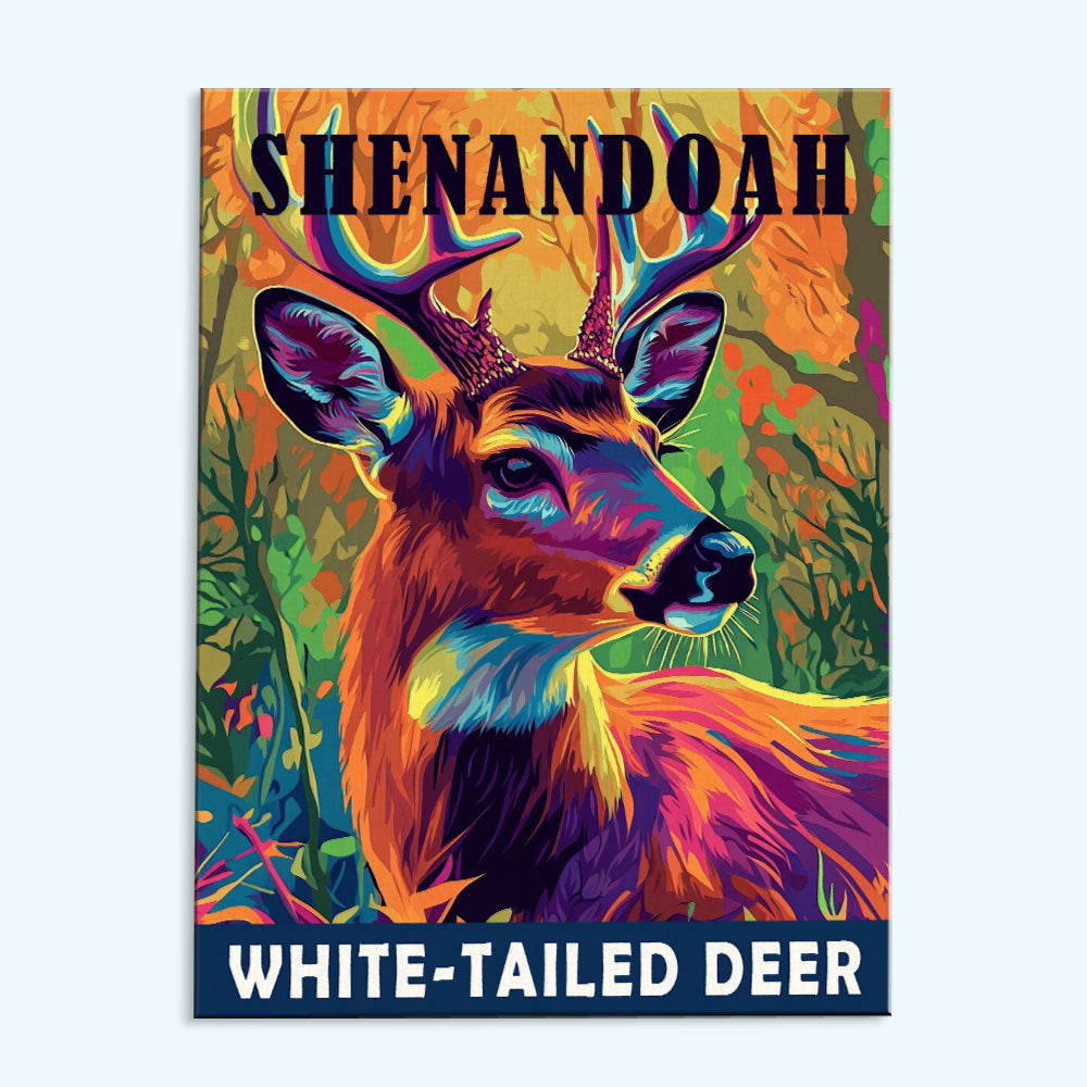 Shenandoah National Park Animal | Paint by Numbers Kit