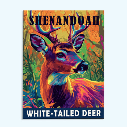 Shenandoah National Park Animal | Paint by Numbers Kit