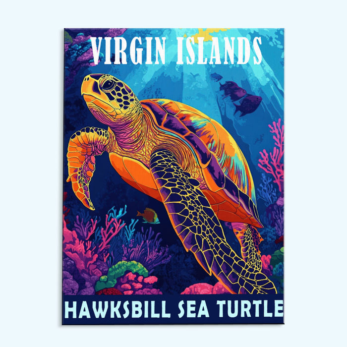 Virgin Islands National Park Animal