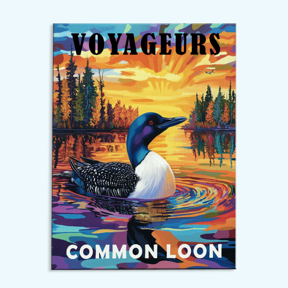 Voyageurs National Park Animal | Paint by Numbers Kit