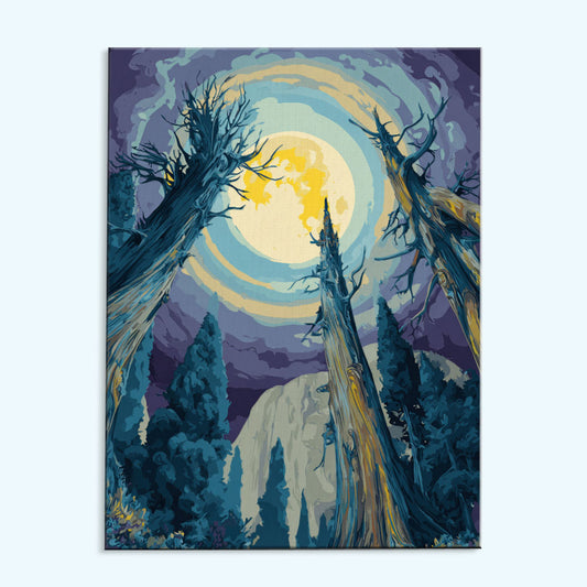 Willow Night | Paint by Numbers Kit