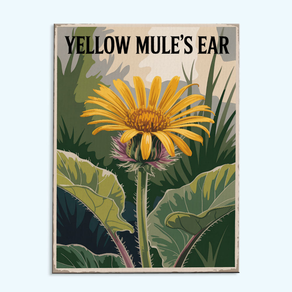 Gelbes Maultierohr – US-Wildblumen | Malen nach Zahlen Set
