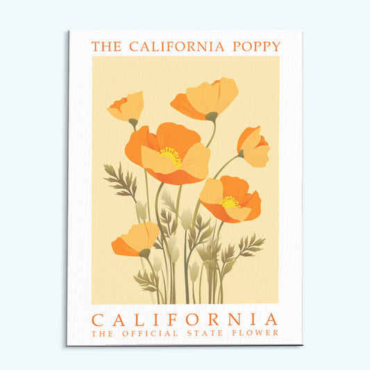 California State Flower - California Poppy | Paint by Numbers Kit