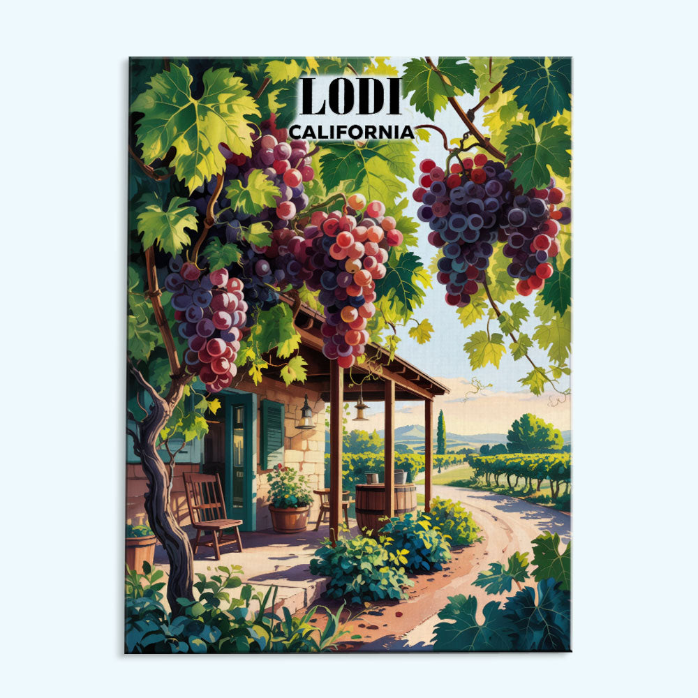 Lodi Wineries, California | Paint by Numbers Kit