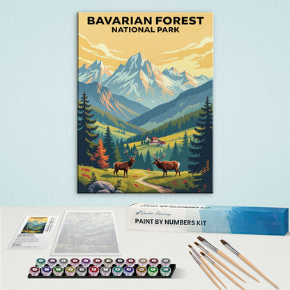 Bavarian Forest - German National Park | Paint by Numbers Kit