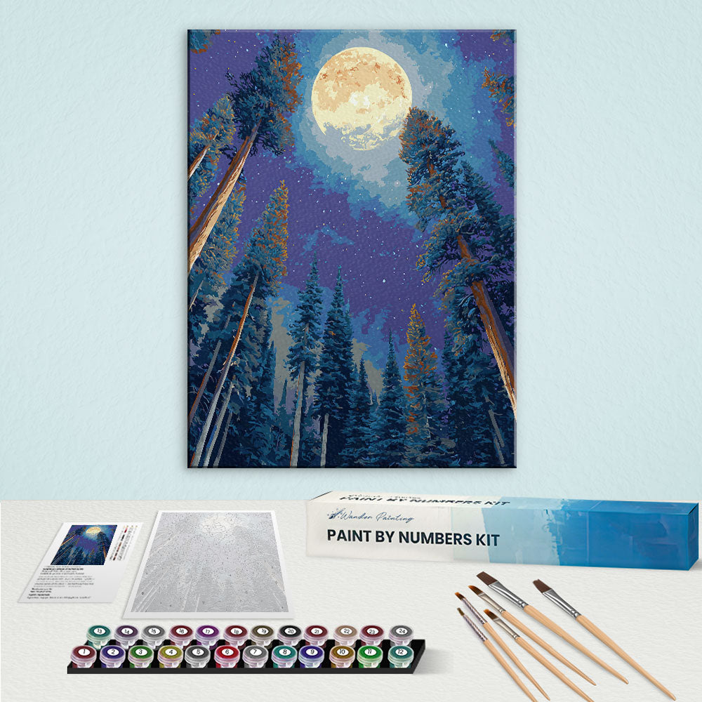Deep Solitude | Paint by Numbers Kit