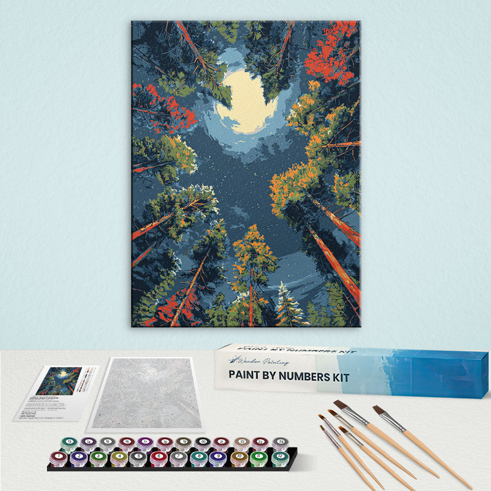 Forest Moonlight | Paint by Numbers Kit
