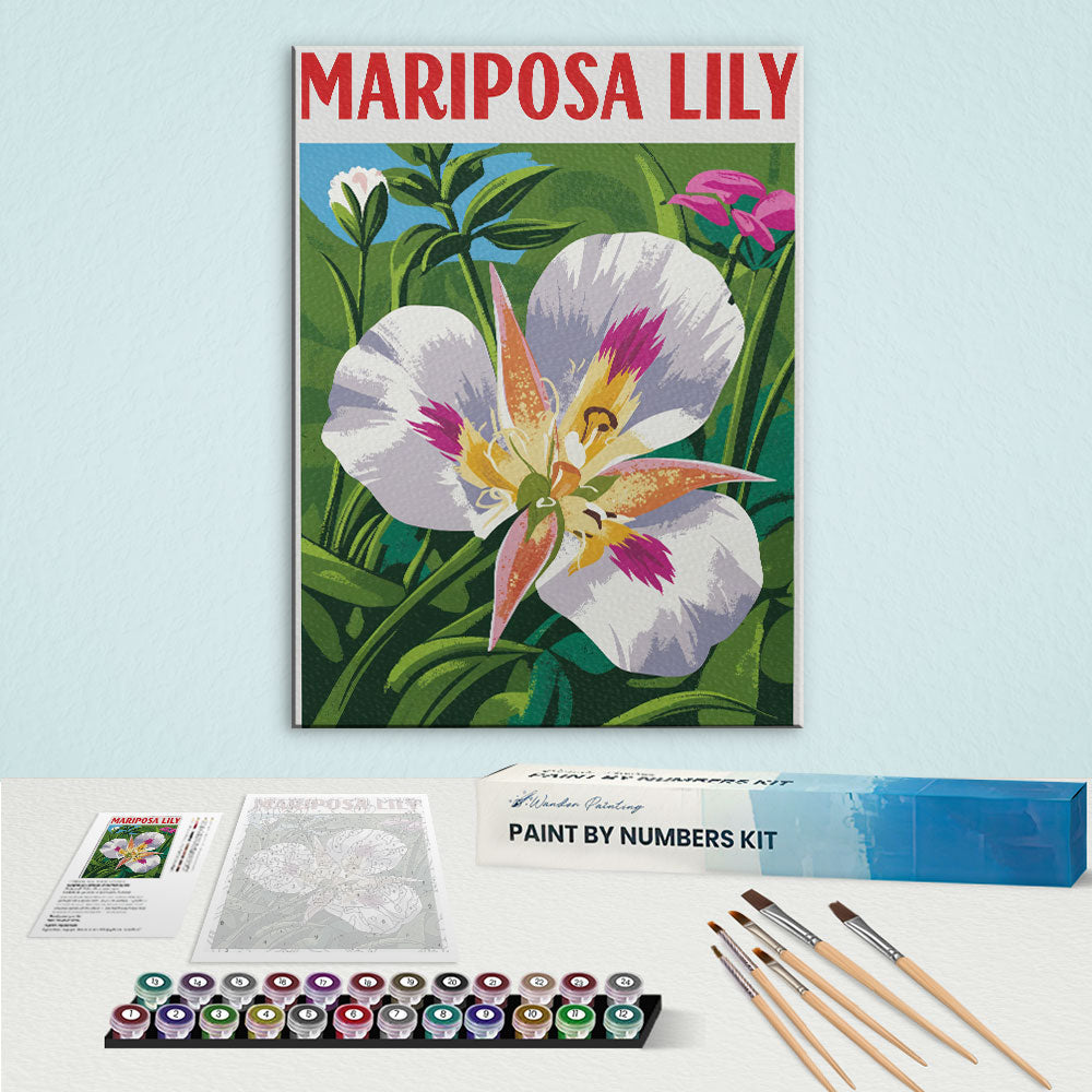Mariposa Lily - US Wildflowers | Paint by Numbers Kit