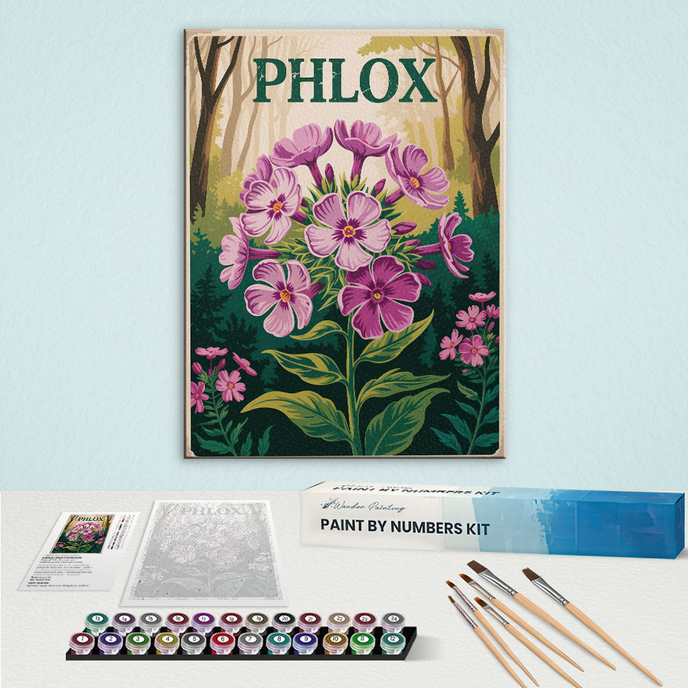 Phlox - US Wildflowers | Paint by Numbers Kit