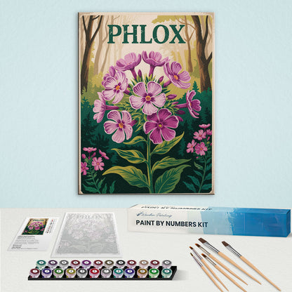 Phlox - US Wildflowers | Paint by Numbers Kit