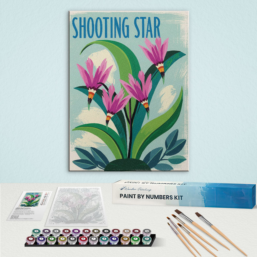 Shooting Star - US Wildflowers | Paint by Numbers Kit
