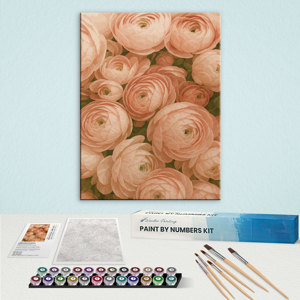Peach Ranunculus | Paint by Numbers Kit