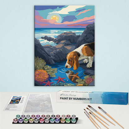 Acadia NP - Basset Hound | Paint by Numbers Kit