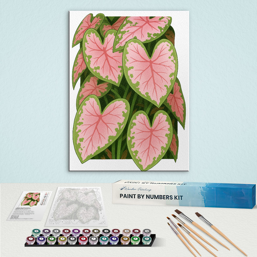 3D Caladium|Paint by Numbers Kit