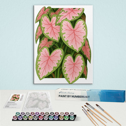 3D Caladium|Paint by Numbers Kit