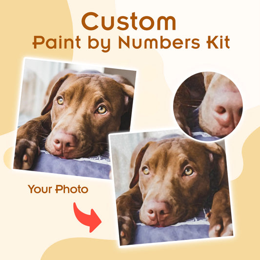 Custom Pet Paint by Numbers Kit