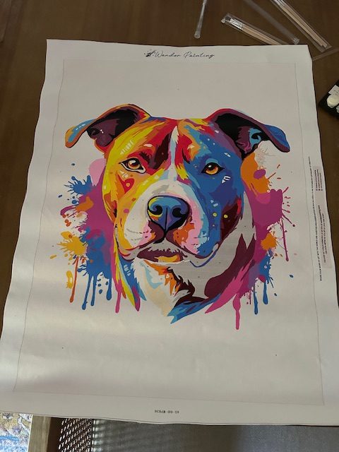 American Staffordshire Terrier - Colorful Dog