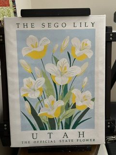 Utah Sego Lily