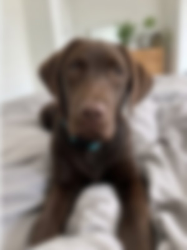 Blurry photo example